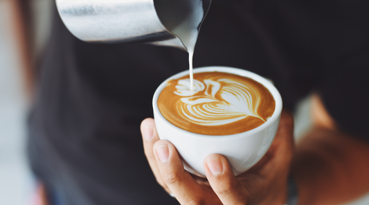 Can You Put Hemp Protein in Coffee? 3 Ways plus 3 Benefits