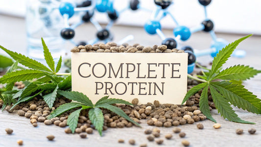 Hemp Protein Amino Acid Profile: The Complete Plant Protein Guide