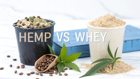 Hemp Protein Powder vs Whey: Which Is Better for You?
