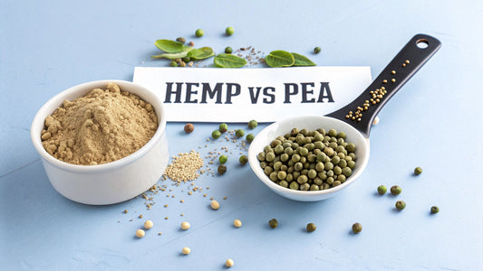 Hemp Protein vs Pea Protein: Which Is Better in 2025?