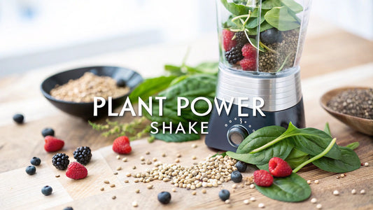 A Complete Guide to Plant Based Meal Replacement Shakes