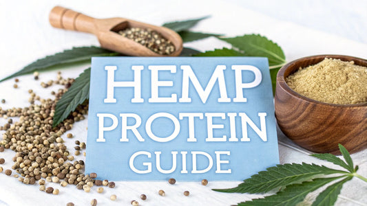 Hemp Protein Powder: Your Complete Guide to Plant Power