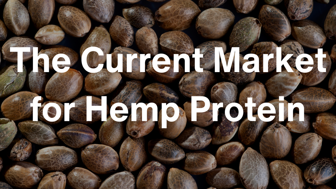 Is Hemp Protein Consumption Increasing? 3 Driving Factors