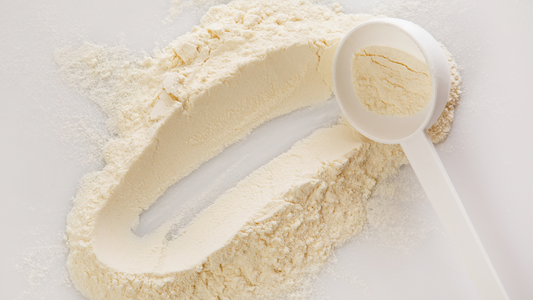 Is Hemp Protein Vegan? Complete Answer