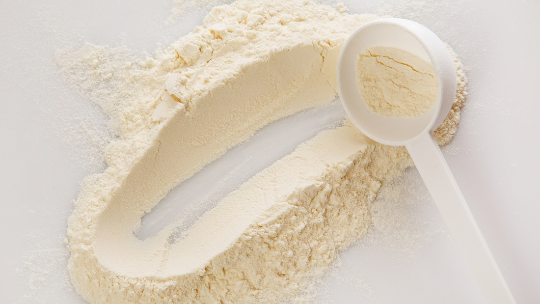 Will Hemp Protein Raise Estrogen Levels?