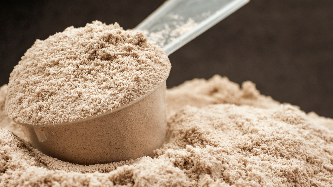 What Does Hemp Protein Taste Like? Plus The Best Tasting Brand