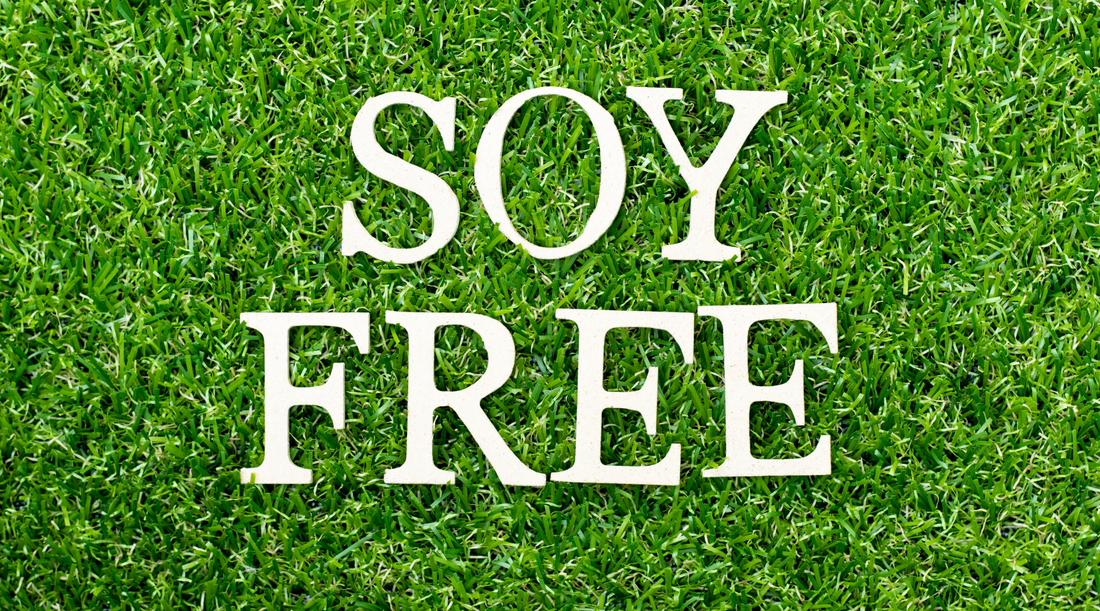 The Top 5 Soy Free Protein Powders