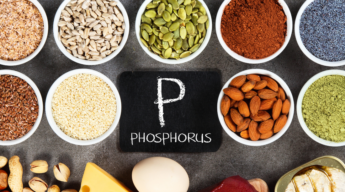 Hemp Protein: Is It A Good Source of Phosphorus?