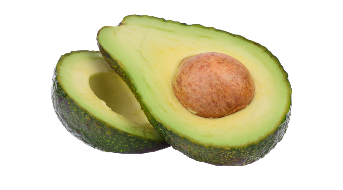 Avocado Powder in Plant Protein Powders: Top 5 Benefits