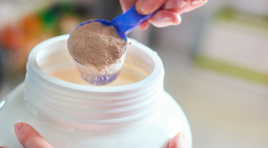 Why Hemp Protein Is the Best Plant-Based Protein: 7 Best Benefit