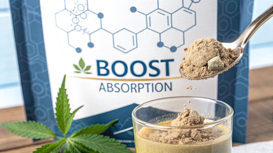 Plant Protein Bioavailability: Boost Your Absorption
