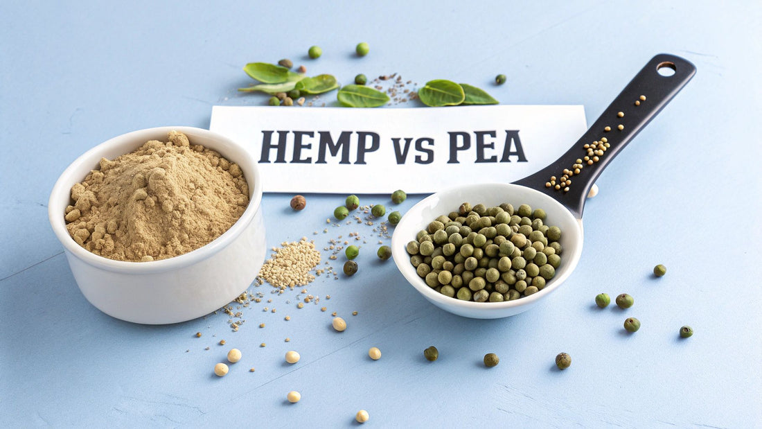 Hemp Protein vs Pea Protein: Which Is Better in 2025?
