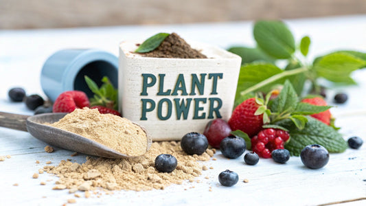Top Plant Based Pre Workout Supplements of 2025