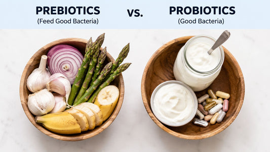 Prebiotic vs Probiotic Difference: A Gut Health Guide