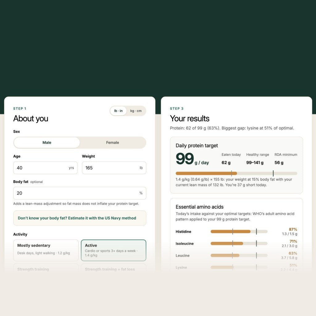 Cantein amino acid calculator showing a daily protein target and essential amino acid gaps