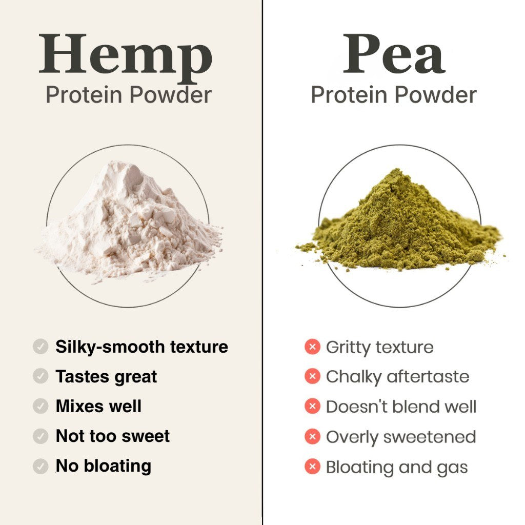 Hemp protein powder next to green pea protein powder