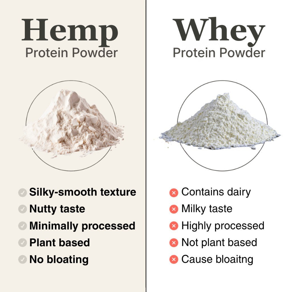 Hemp protein powder next to white whey protein powder