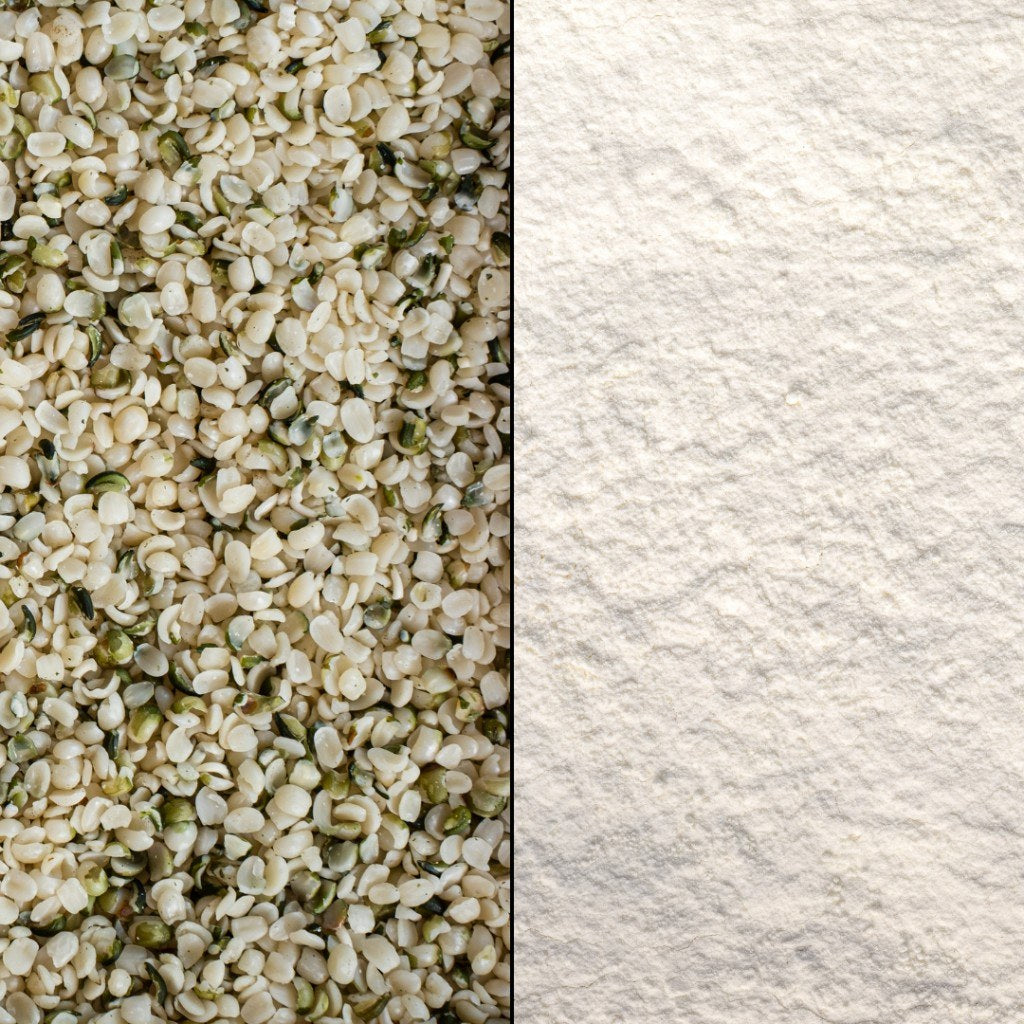 Hulled hemp seeds beside fine hemp protein powder